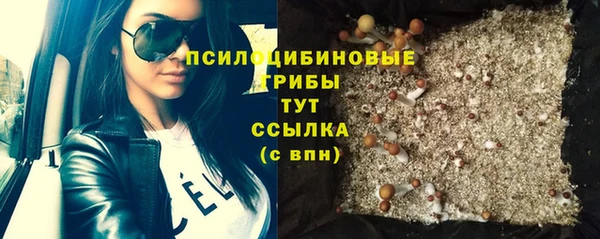 твердый Алексин