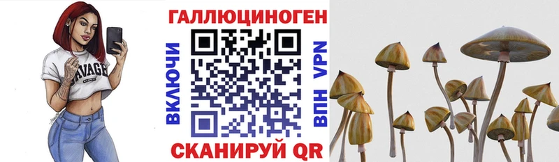 Псилоцибиновые грибы мицелий купить наркоту Томмот